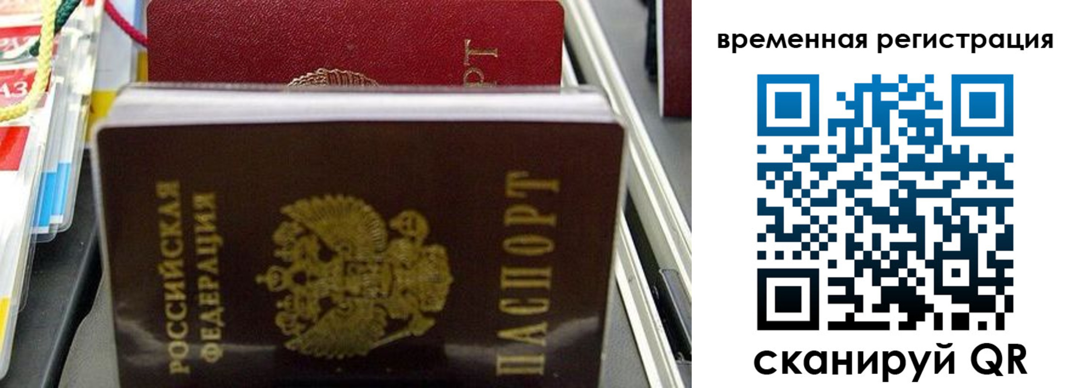 прописка законно в Завитинске